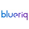 Resume business logo - Blueriq